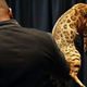 Images via AP